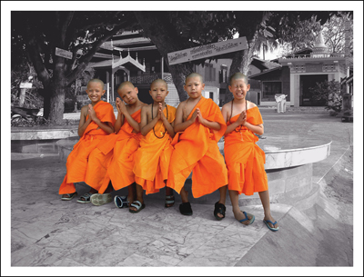 young novices